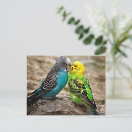 Two Parakeets Postkarte (Stehend Vorderseite)