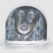 Two Paw Prints Memorial, Teal to Blue Schneekugeln (Rückseite)