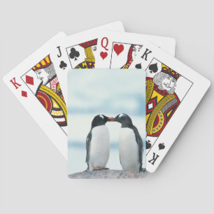 Two Penguins touching beaks Spielkarten