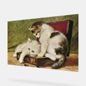 Two Playful Kittens Acrylschild (Winkel)