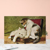 Two Playful Kittens Acrylschild (Hochzeit)