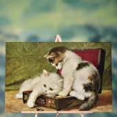 Two Playful Kittens Acrylschild (Neutral)