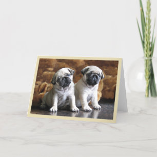Two Pugs Greeting Card Karte