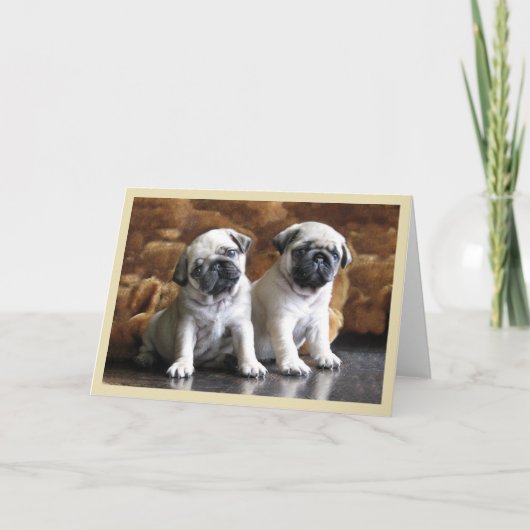 Two Pugs Greeting Card Karte (Vorderseite)