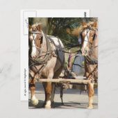 Two Red Roan Horses Postkarte (Vorne/Hinten)