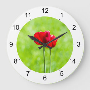 Two red tulip flowers große wanduhr