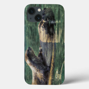 Two River Otters Wildlife Art Case-Mate iPhone Hülle
