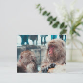 Two Snow Monkeys in Nagano, Japan Postkarte (Stehend Vorderseite)