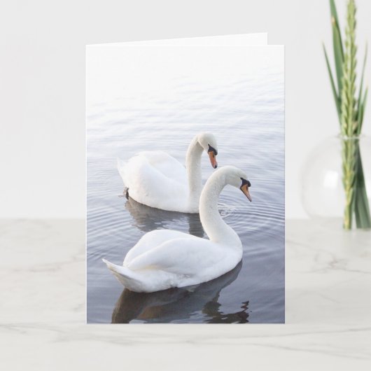 Two Swans Swimming on Tranquil Lake Karte (Vorderseite)