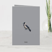 Two-Tone Sentinel Black Hooded Crow Karte (Rückseite)