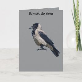 Two-Tone Sentinel Black Hooded Crow Karte