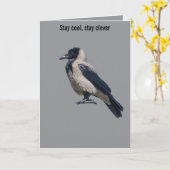 Two-Tone Sentinel Black Hooded Crow Karte (Gelbe Blume)
