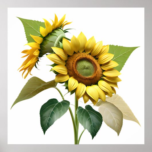 Two Vibrant Sunflowers with Lush Green Leaves Poster (Vorne)