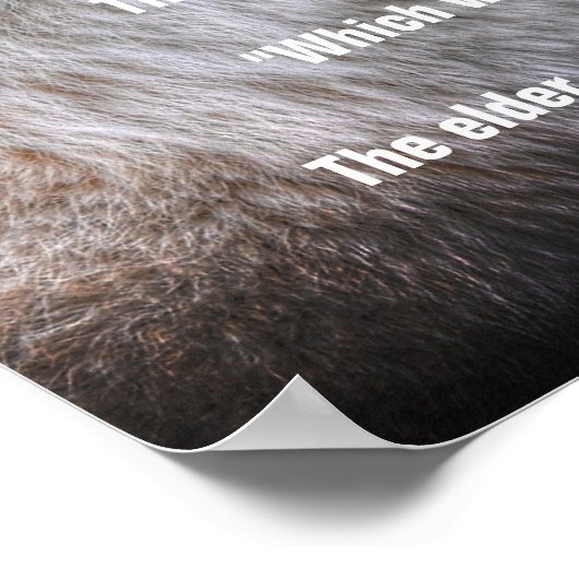 TWO WOLVES CHEROKEE TALE Art Poster (Ecke)