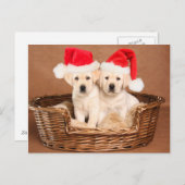 Two Yellow Lab Christmas Puppies Feiertagspostkarte (Vorne/Hinten)