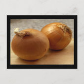 Two Yellow Onions Cards Postkarte (Vorderseite)