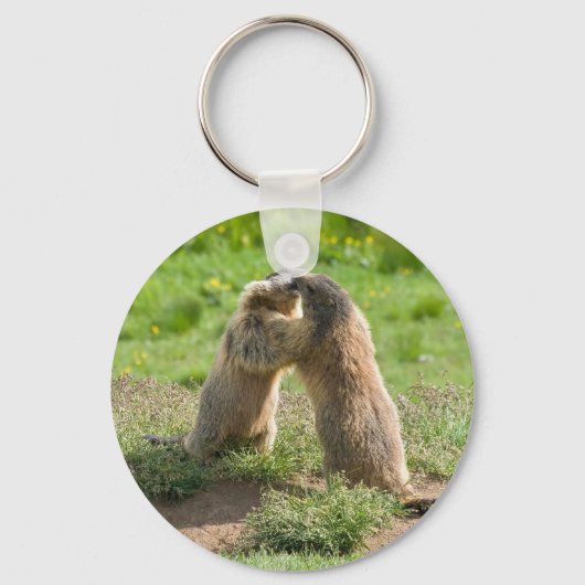 two young marmots schlüsselanhänger (Vorderseite)