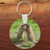 two young marmots schlüsselanhänger (Vorderseite)