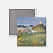 Twr Mawr Lighthouse auf Llanddwyn Island Magnet (Vorderseite/Rückseite)