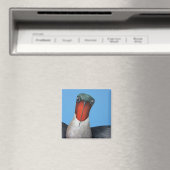 Ty, ein Ruby Throated Hummingbird Magnet (In Situ (Geschirrspüler))