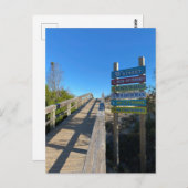 Tybee Island 15th Street Beach Postkarte (Vorne/Hinten)