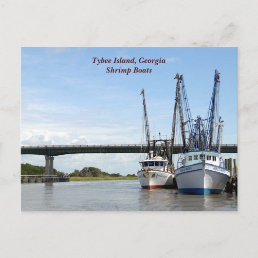 Tybee Island Georgia Fischerboote Postkarte (Vorderseite)