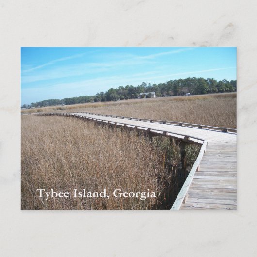 Tybee Island Georgia GA Postcard Foto Postkarte (Vorderseite)