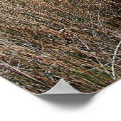 Tybee Island Georgia Pfadposter-Foto Poster (Ecke)