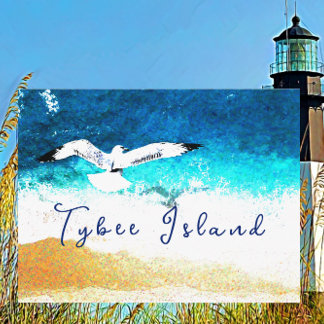 Tybee Island Georgia Seagull über Strand Postkarte