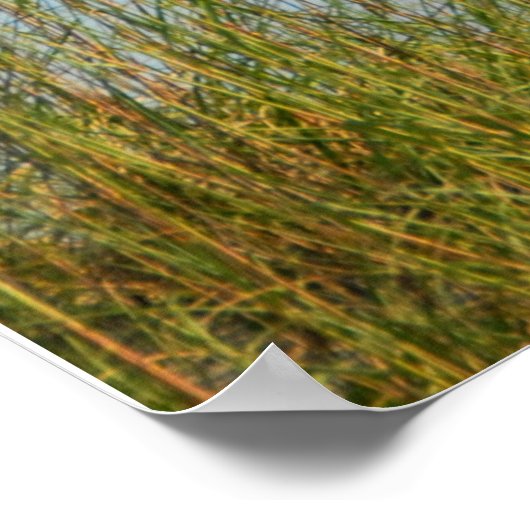 Tybee Island Lighthouse-Poster Poster (Ecke)