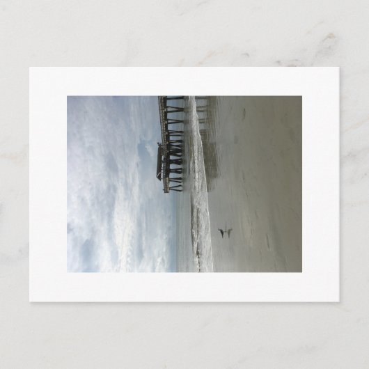 Tybee Pier Postkarte (Vorderseite)