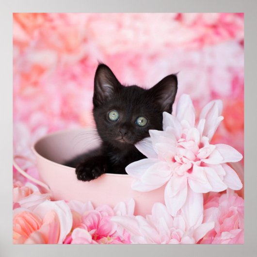 Tye Pink Floral Poster (Vorne)