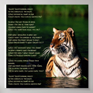 Tyger, Tyger Print Poster