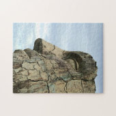 Tyndareus Cracked Puzzle (Horizontal)