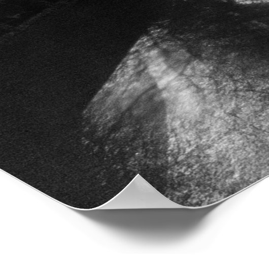 Tyne Bridge Poster (Ecke)