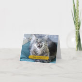 Typ Cat Dankeschön Karte (Vorderseite)