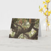 Typ Combes Tier-Kunst-Gruß-Karten Karte (Gelbe Blume)