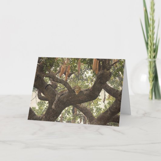 Typ Combes Tier-Kunst-Gruß-Karten Karte (Vorderseite)