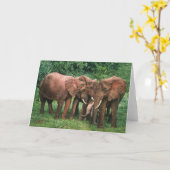 Typ Combes Tier-Kunst-Gruß-Karten Karte (Gelbe Blume)