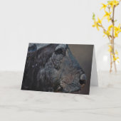 Typ Combes Tier-Kunst-Gruß-Karten Karte (Gelbe Blume)