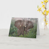 Typ Combes Tier-Kunst-Gruß-Karten Karte (Gelbe Blume)