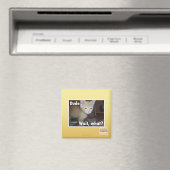 Typ Magnet (In Situ (Geschirrspüler))