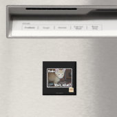 Typ Magnet (In Situ (Geschirrspüler))