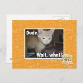 Typ Postkarte (Vorne/Hinten)