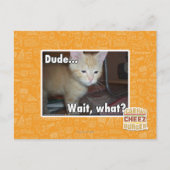 Typ Postkarte (Vorderseite)