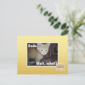 Typ Postkarte (Stehend Vorderseite)