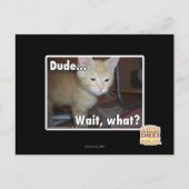 Typ Postkarte (Vorderseite)