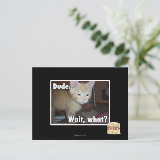 Typ Postkarte (Stehend Vorderseite)