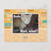 Typ Postkarte (Vorderseite)