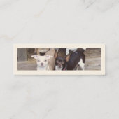 Typ - Zazzle.com/Big1011Guy*-Geschäfts-Karte Mini Visitenkarte (Rückseite)